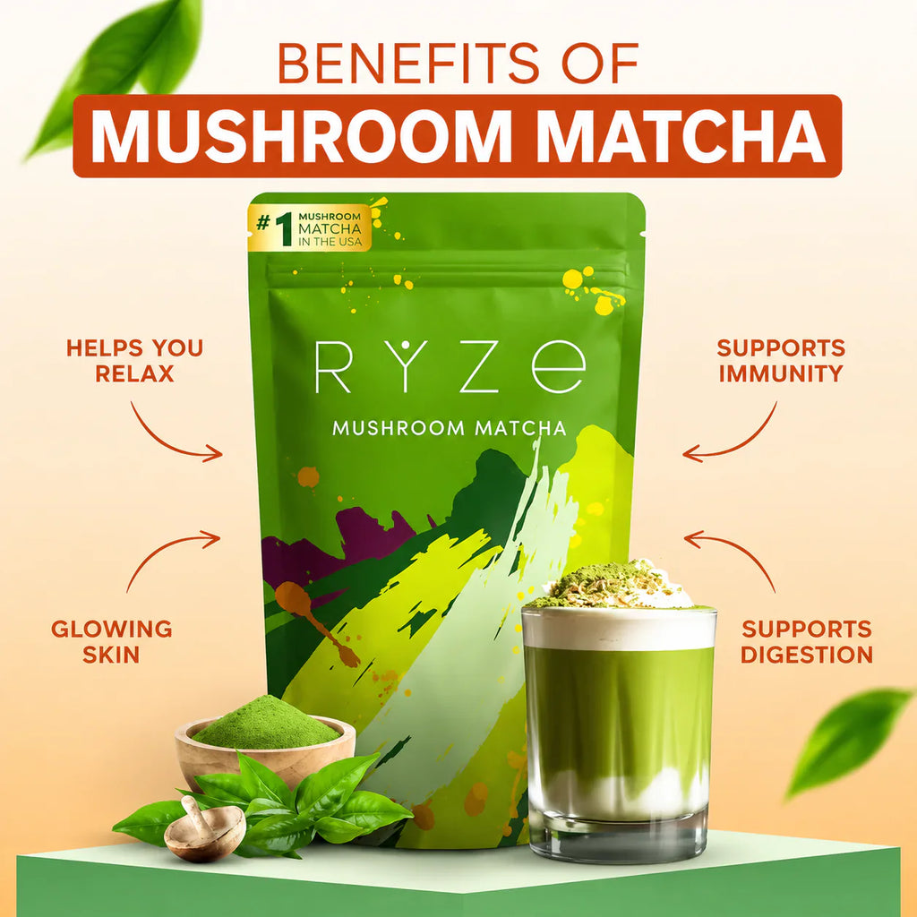RYZE Mushroom Coffee + Mushroom Matcha Bundle USDA Organic 30 Servings Each